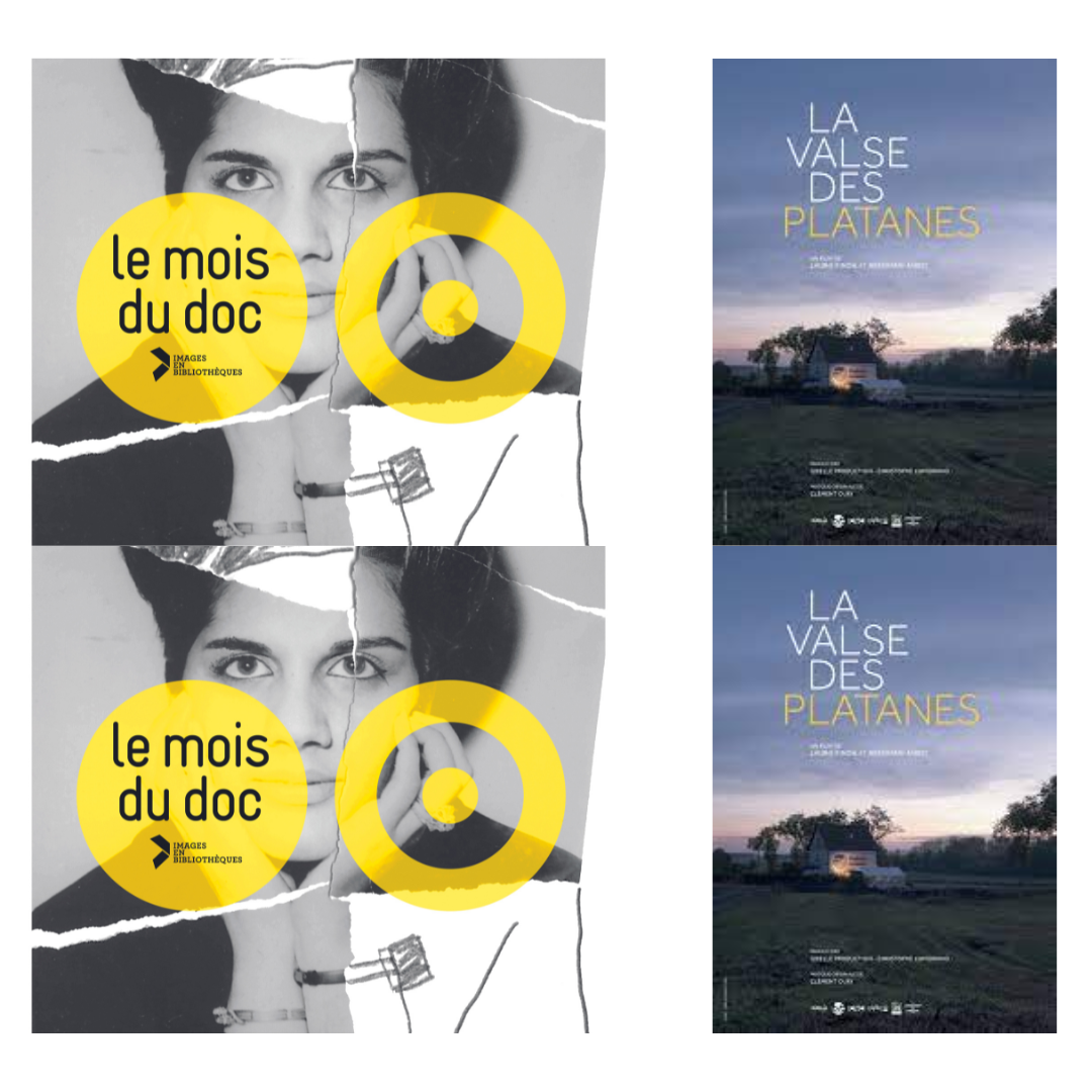 Affiche mois du doc