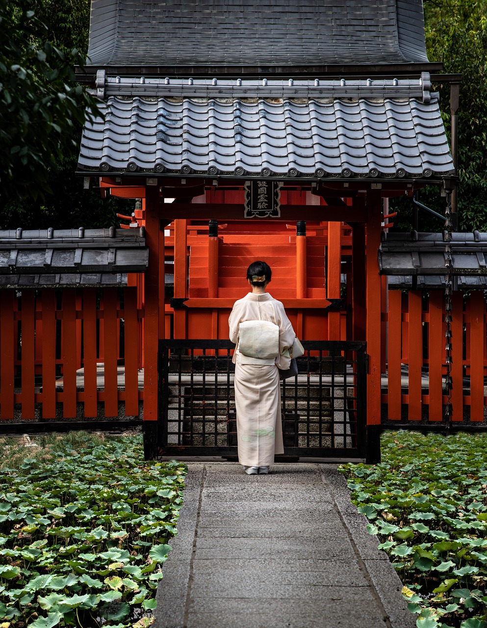Découverte de la culture japonaise