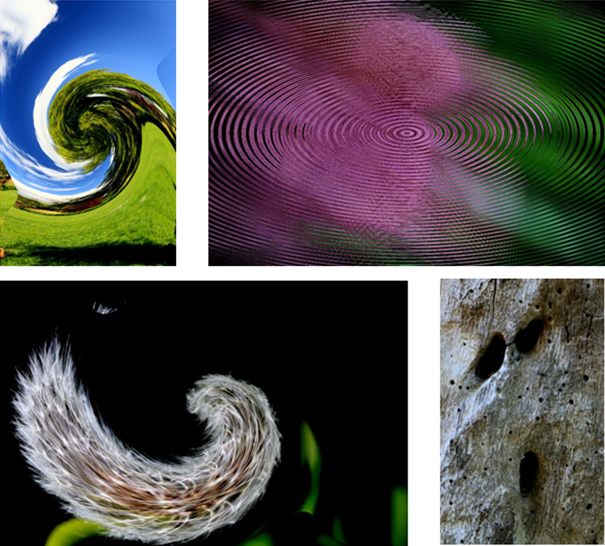 Diverses photos de l'exposition