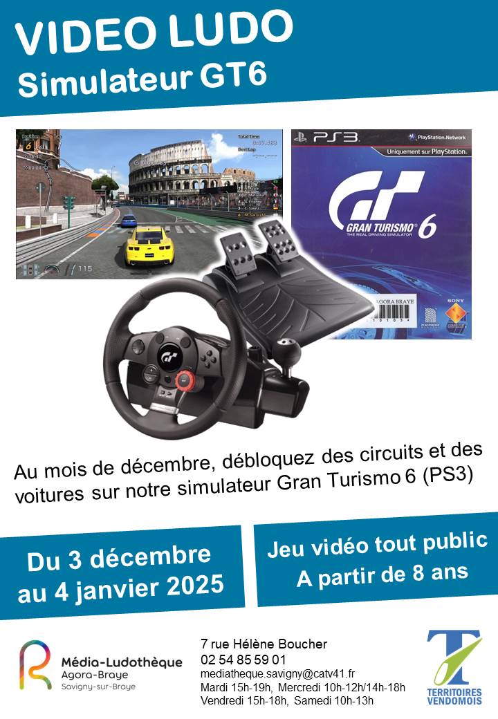 Jeu vidéo
