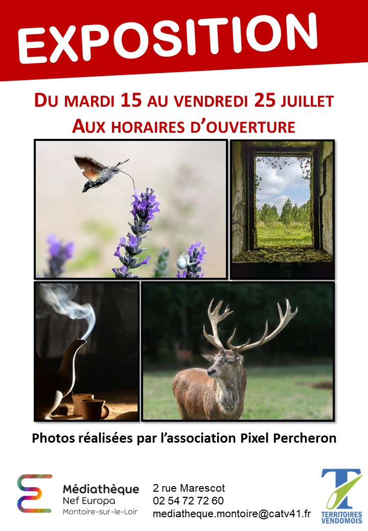 Exposition