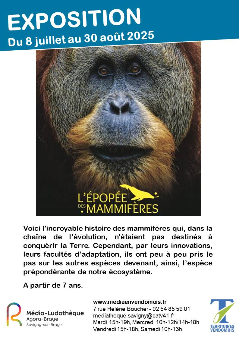 Exposition